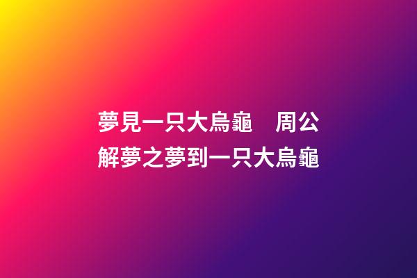 夢見一只大烏龜　周公解夢之夢到一只大烏龜